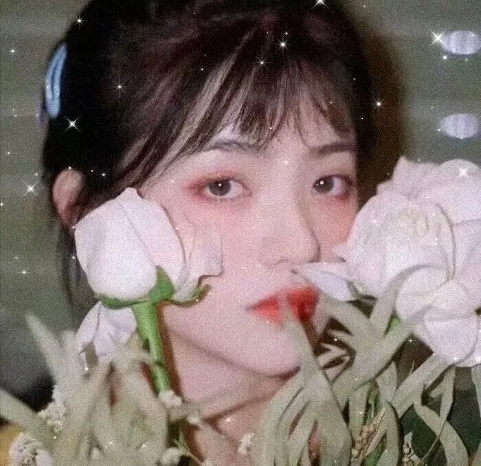 少爷和我