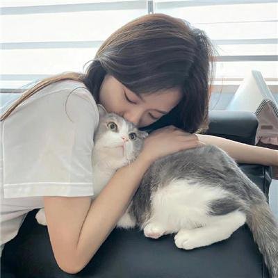 客人是王